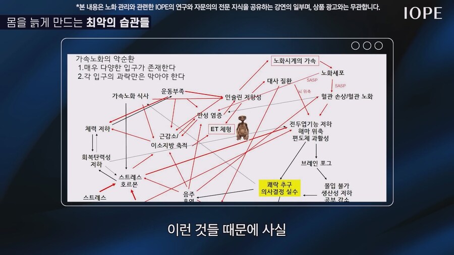 쇼닥터 아니라는 저속노화 교수 강의를 찾아봤다_75.jpg