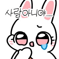 웰시코기 8마리 키우시는 분한테 제일 많이 오는 DM내용_2.png