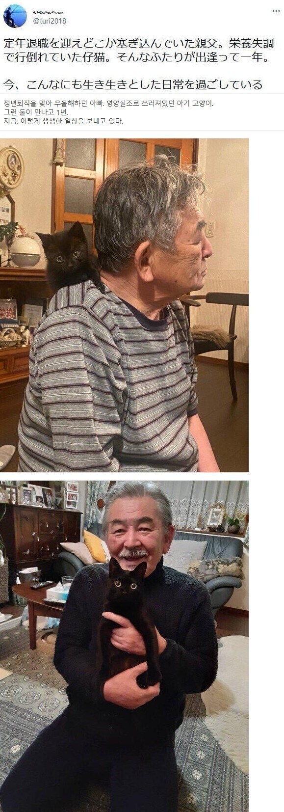 서로를 구해준 아빠와 고양이.jpg_1.jpg