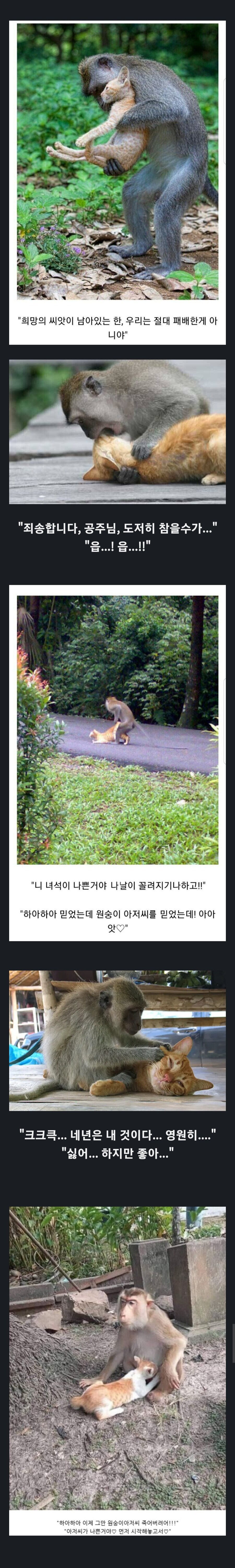 의외로 기승전결이 뚜렷한 작품_1.png