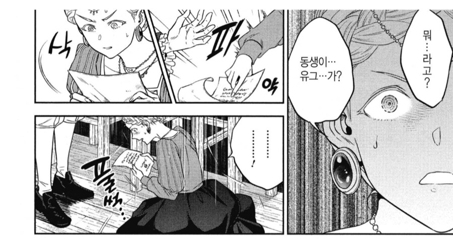 어린 남동생을 위해 국력을 키워왔던 누나의 최후.manhwa_2.png