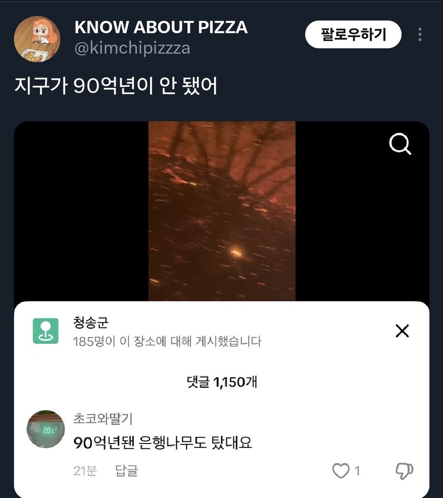 90억년 된 나무가 어디있어_1.jpg