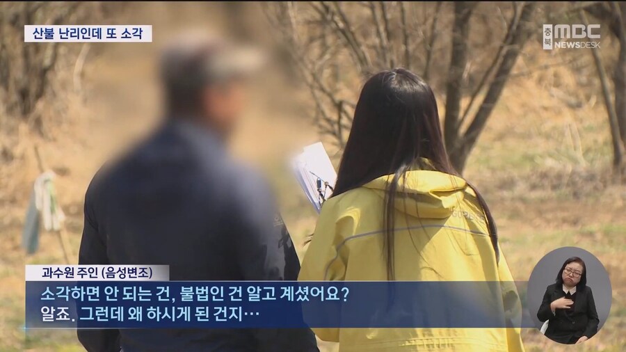 산불낸 과수원 주인 "오늘 뭐가ㅎㅎ땡겼는지ㅎㅎ모호르겠지만ㅎㅎ불을 오늘 지른거죠 "_1.jpg