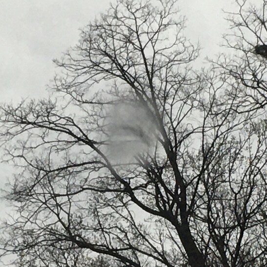 장난 ㄸ때리는 경북 하늘 최신 근황 - 비다!!!_1.jpg