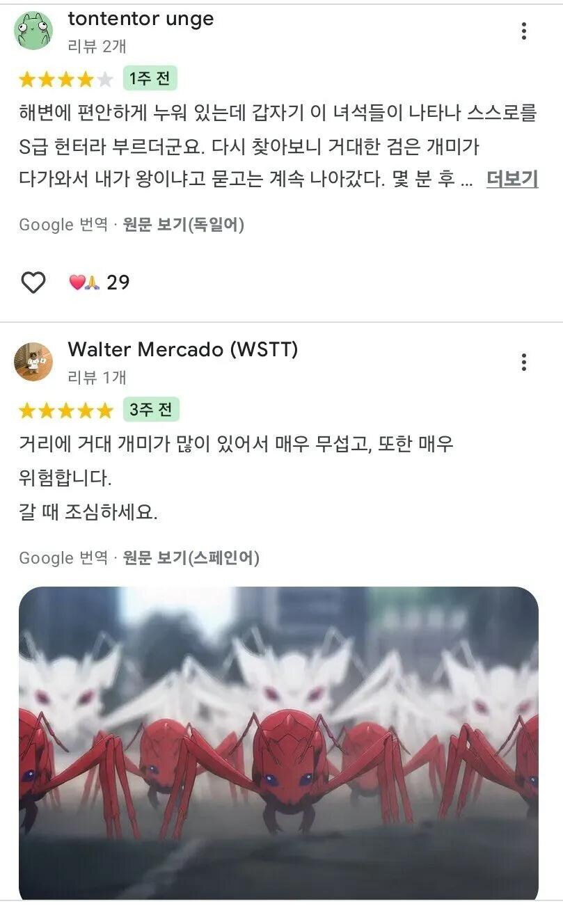 충격적인 외국인들의 제주도 리뷰_2.jpg