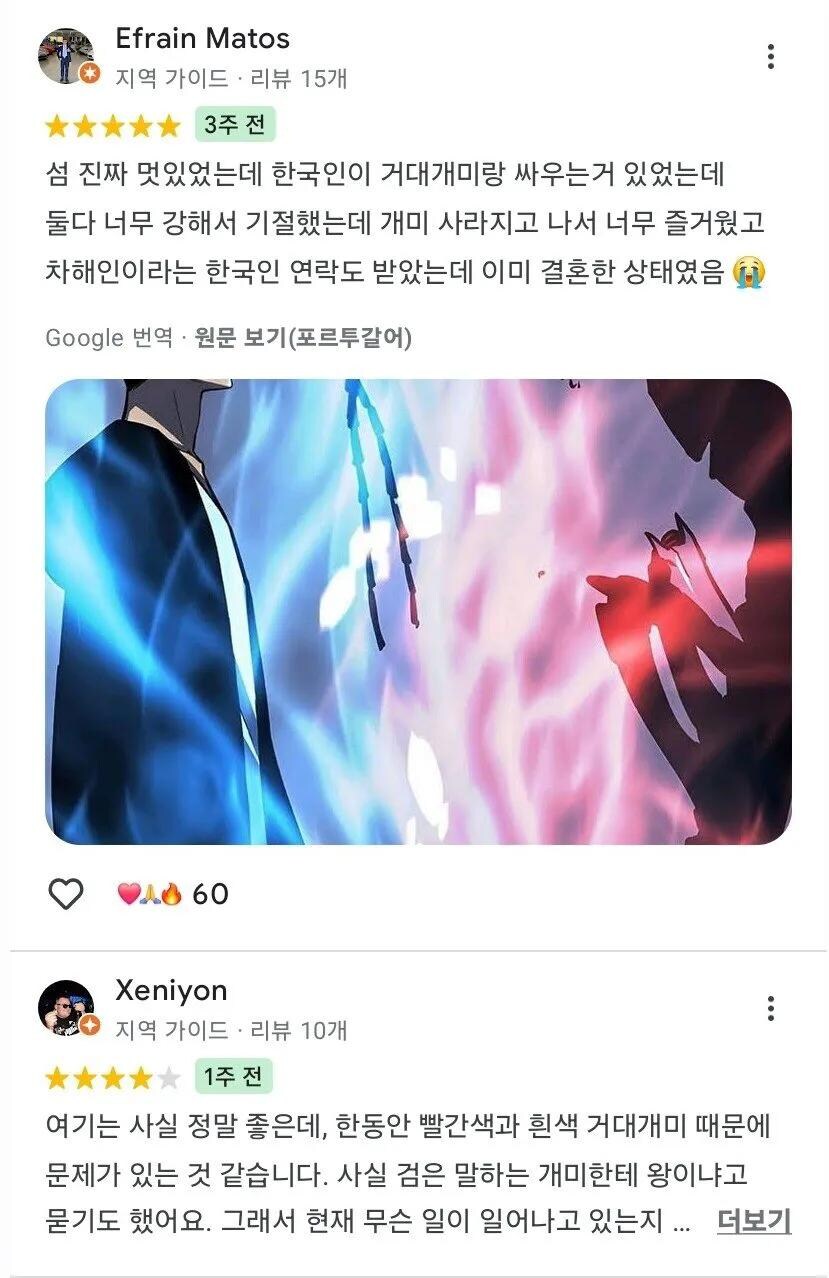 충격적인 외국인들의 제주도 리뷰_4.jpg