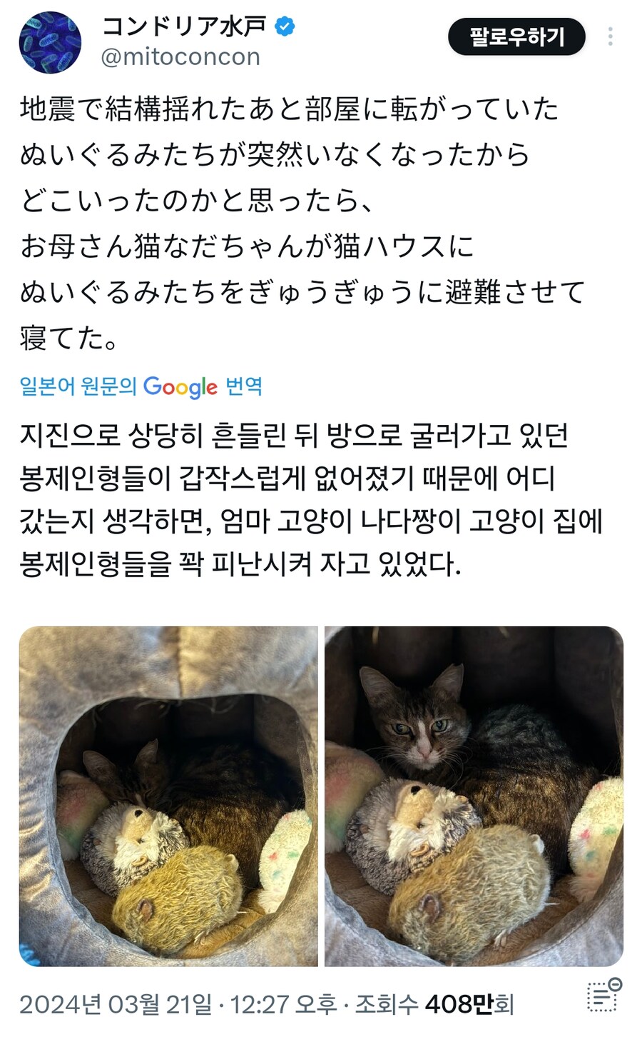 지진 이후 갑자기 사라진 인형들_1.png