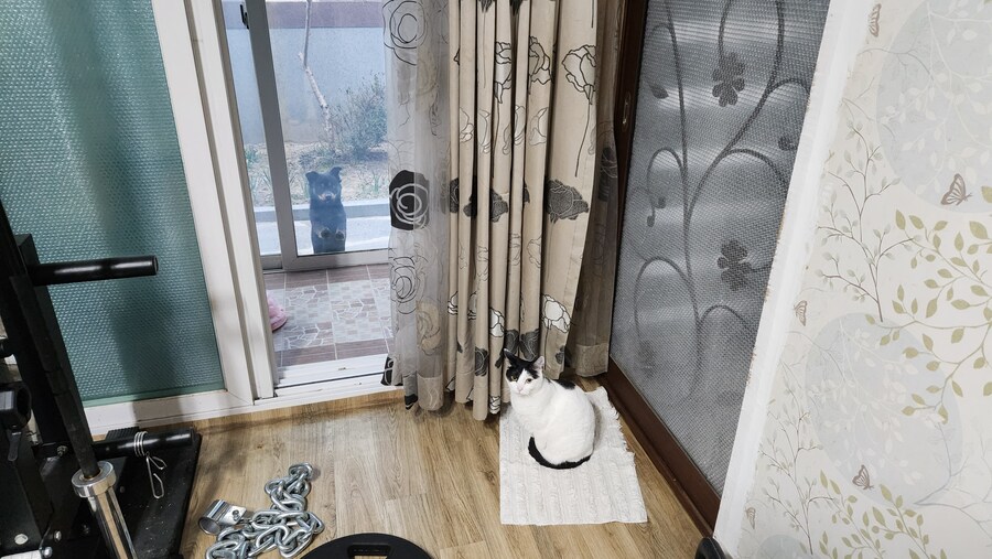 우리집 상황_1.jpg