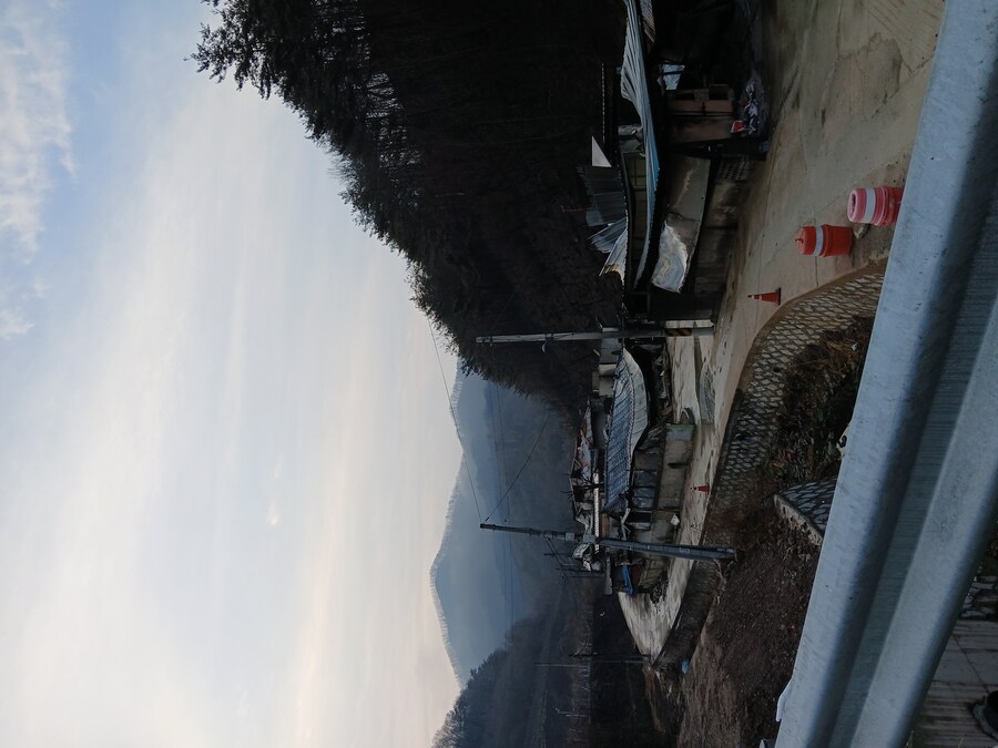 영덕 가는길인데 산불 피해 정말 심각하네_5.jpg