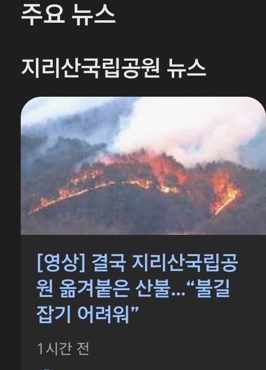 지리산 반달곰들 산불로 죽을뻔 했는데 살았다함_1.jpg