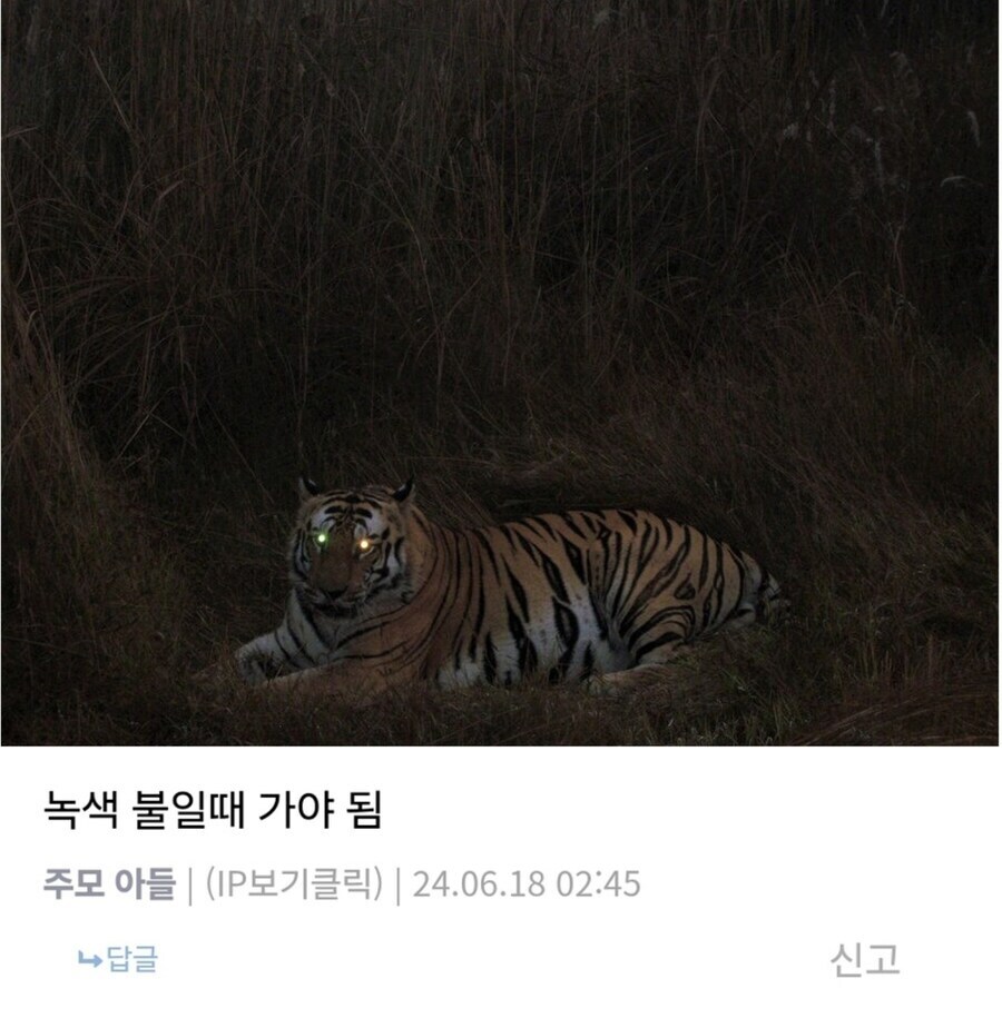 생태계복원] 떡밥에서 복원의"ㅂ"조차 안나오는 한반도 토종 동물_2.jpg