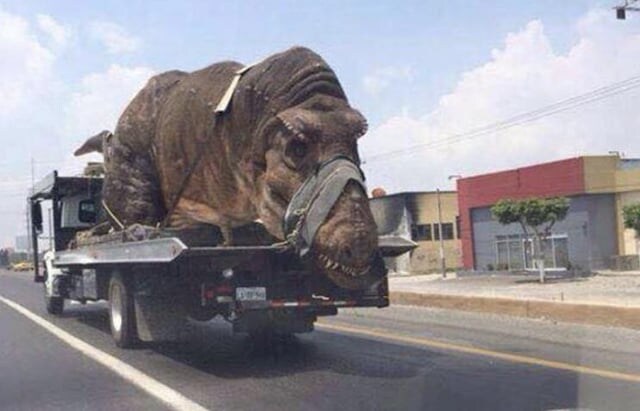 생태계 복원 떡밥불타니 내가 가장 뭐라고 하고싶은부분_1.jpg