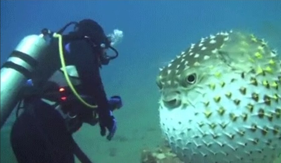 오늘 내 인생 헛살았다는 느낌 들었다_1.jpg