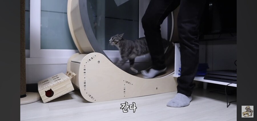 캣휠로 운동하는 남자_4.jpg