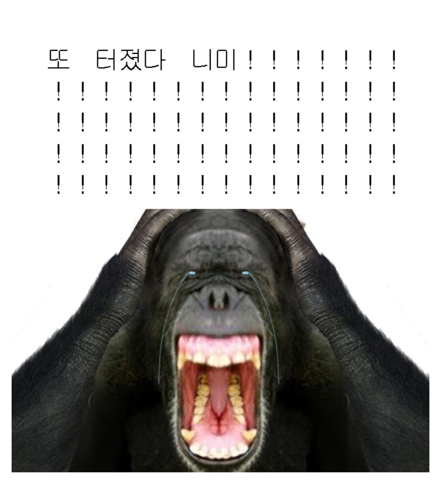 DC)제임스 건의 슈퍼맨 테스트 시사회 반응은 호불호가 갈렸다_4.jpg