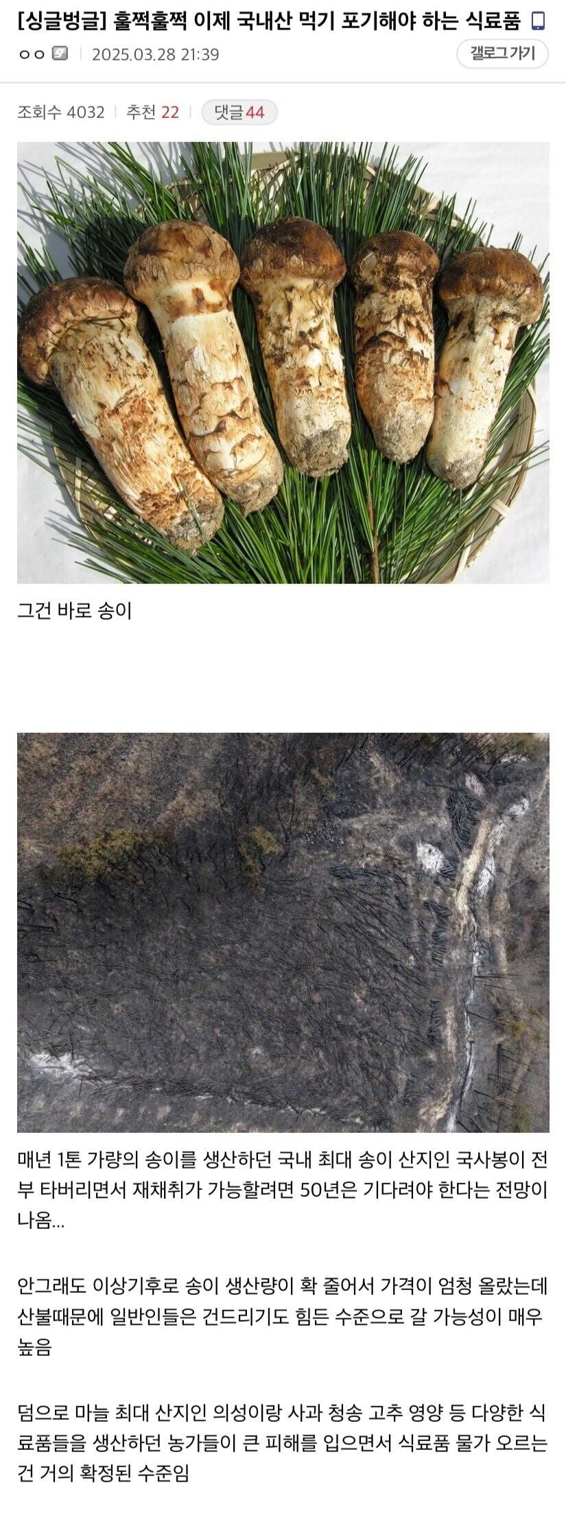 이제 국내산 먹기 포기해야 하는 식료품.jpg_1.jpg