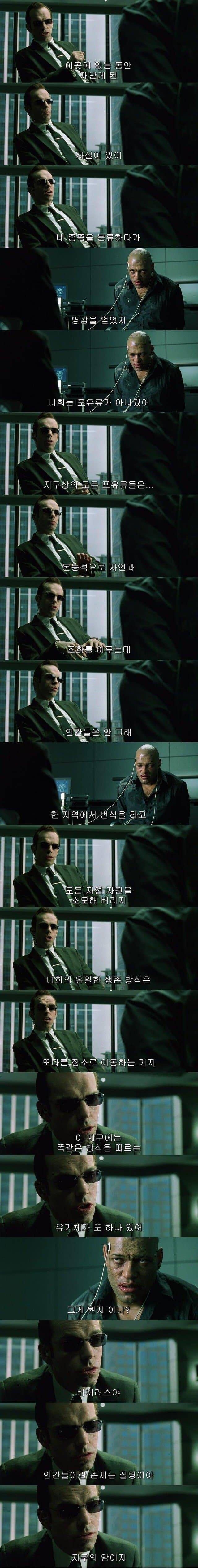 영화 매트릭스에서 가장 유명하지만, 동시에 가장 아이러니한 대사_1.jpg