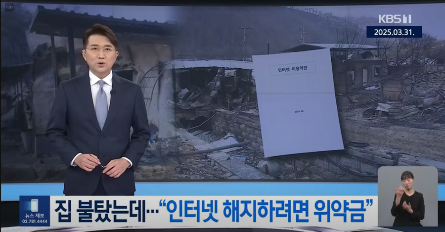 산불 재해로 다 불탔는데 서비스 해지하라면 위약금 내라는 회사들