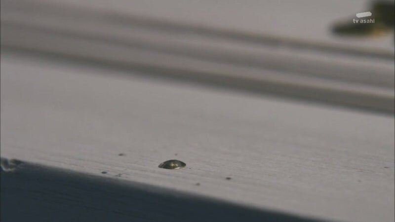 어머니 장례식을 치루는데 어머니가 살아돌아왔다_43.jpg