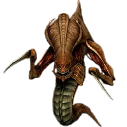 스타크래프트 유닛 호칭논란 정리_8.webp