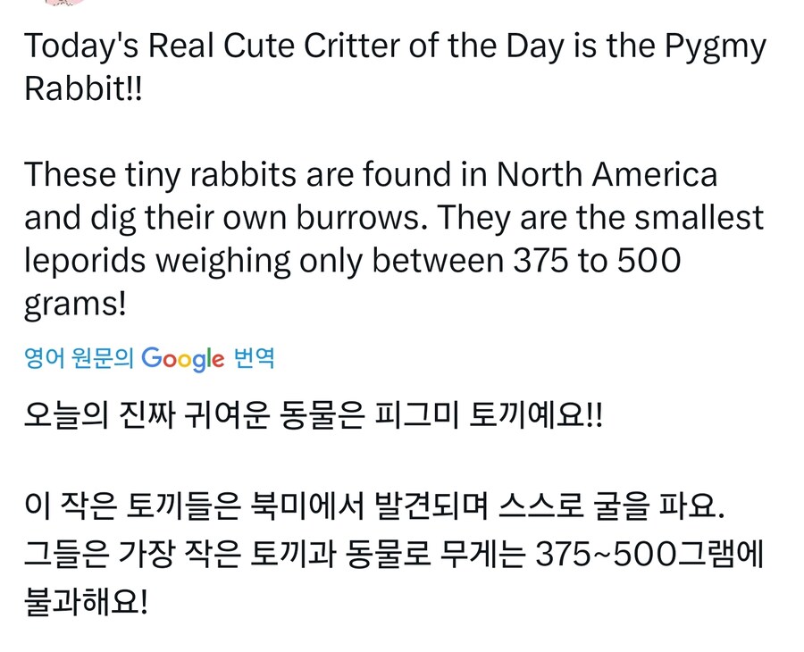 넘넘작고 소중한(물리) 토기_1.jpg