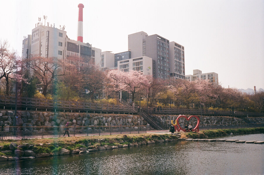 2025년 4월 우이천 다녀오다._8.jpg