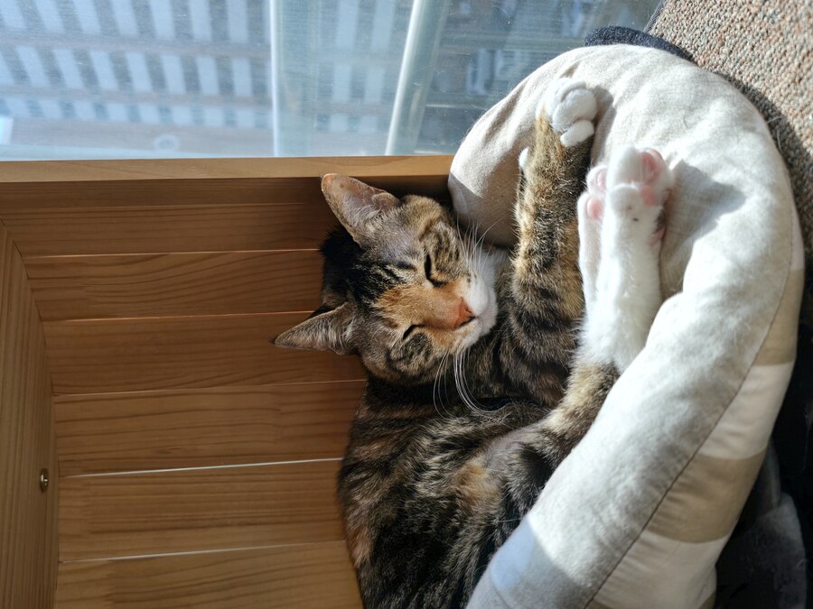 16세 할매 근황_1.jpg