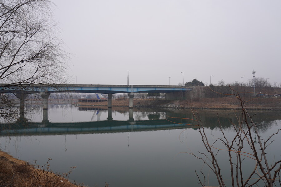 삼일절, 굴포천과 김포대수로 탐조_30.jpg