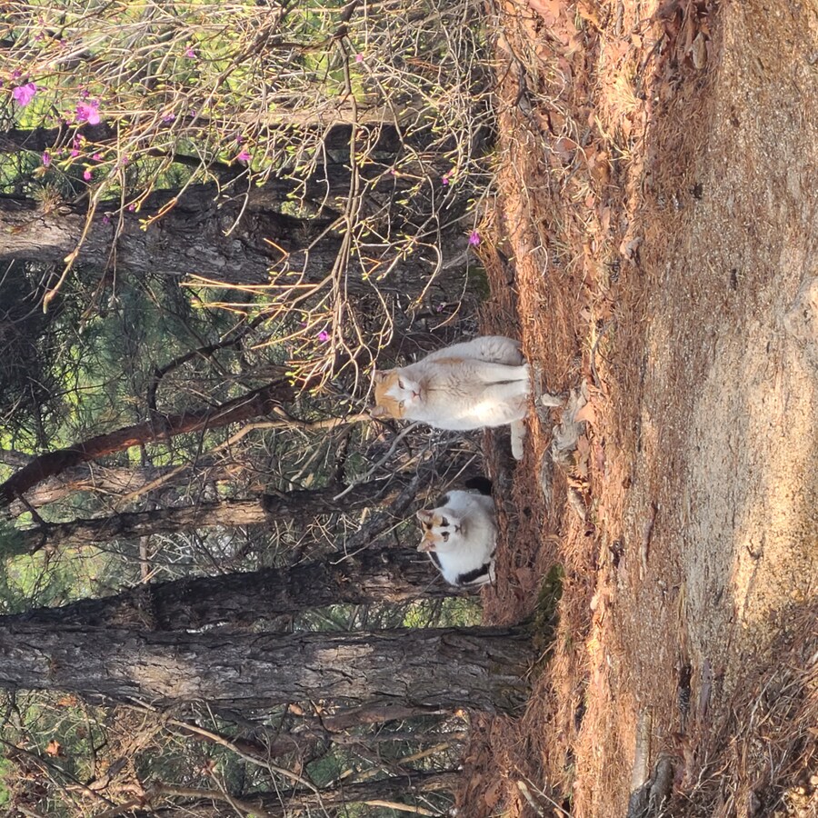 용마산에서 만난 소년명수_1.jpg