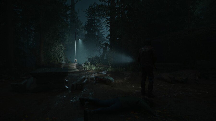 Alan Wake 2 完_3.jpg