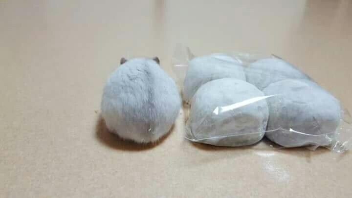 이해하면 소름돋는 사진_1.png