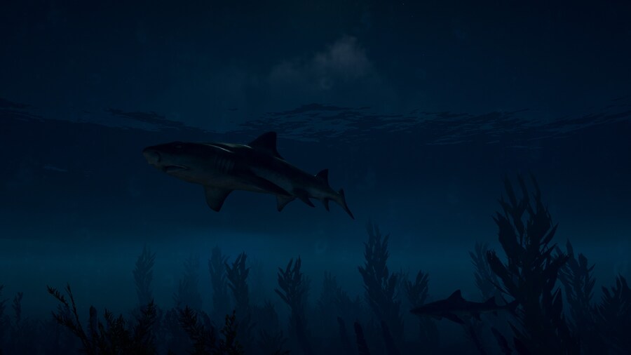 Assassin's Creed® Shadows_24.jpg