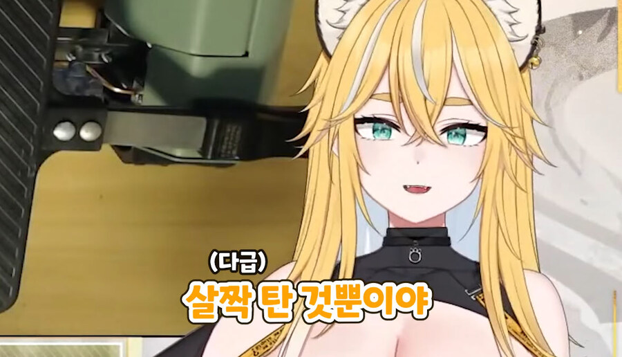 버미육)탄거아니야 마이야르야_40.jpg