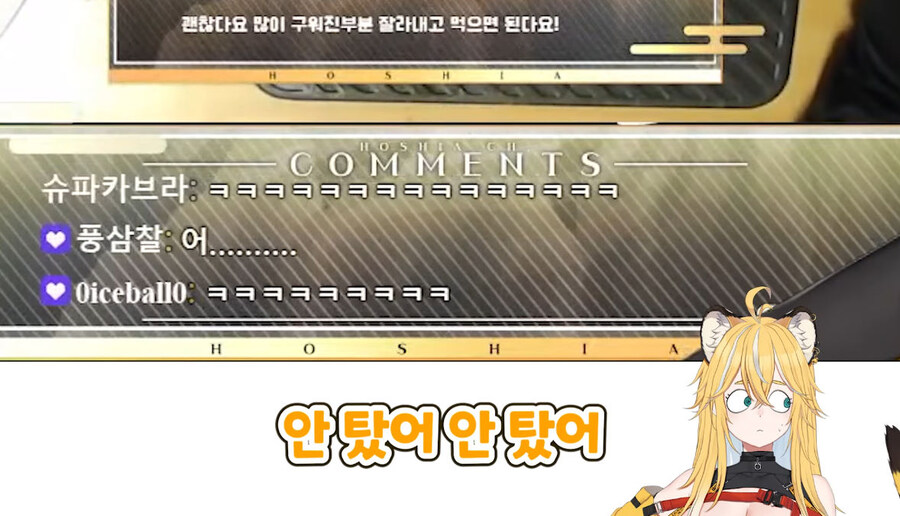 버미육)탄거아니야 마이야르야_42.jpg