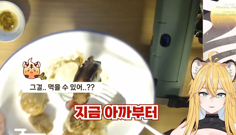 버미육)탄거아니야 마이야르야_45.jpg