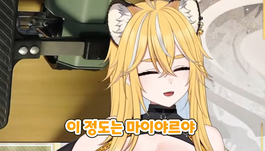 버미육)탄거아니야 마이야르야_36.jpg