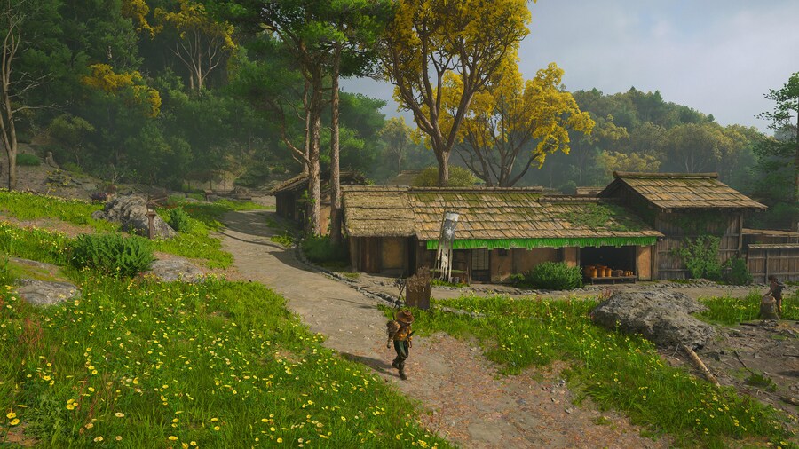 Assassin's Creed® Shadows_20.jpg