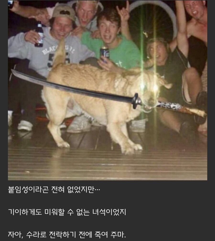 원숭이 아저씨의 대모험_16.jpg
