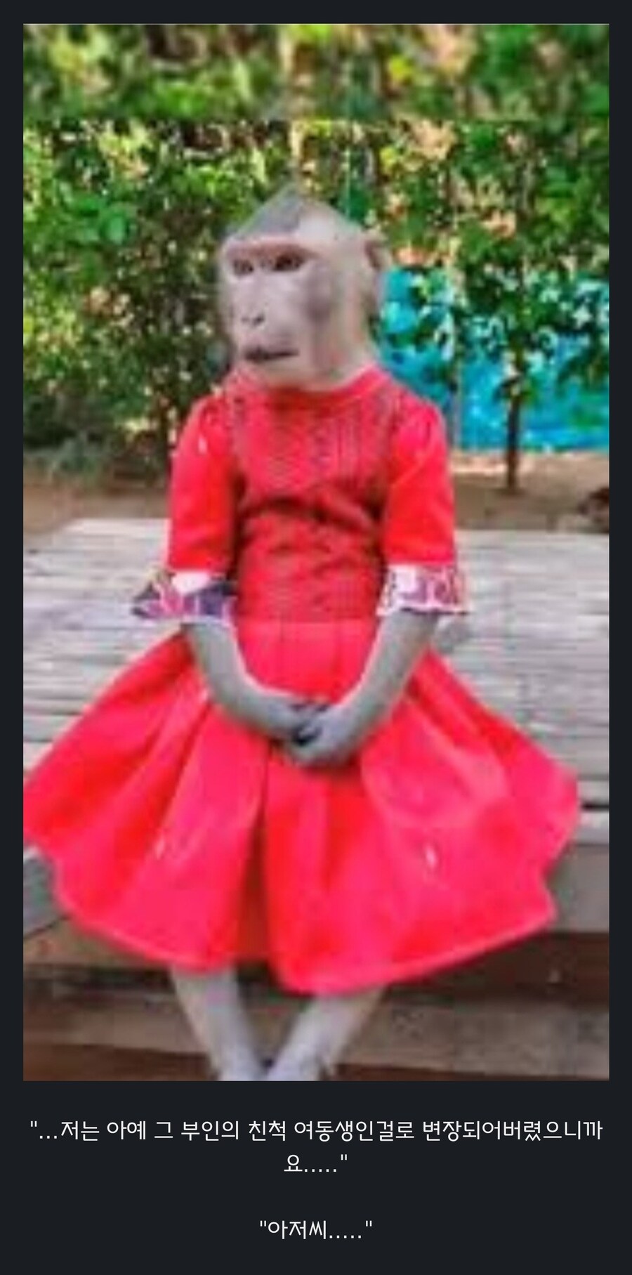 원숭이 아저씨의 대모험_18.jpg