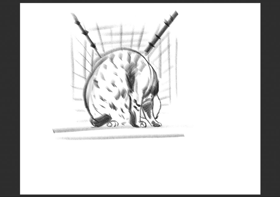 우리집 고양이 보고가셈_8.jpg