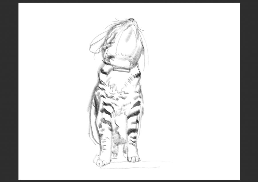 우리집 고양이 보고가셈_1.jpg