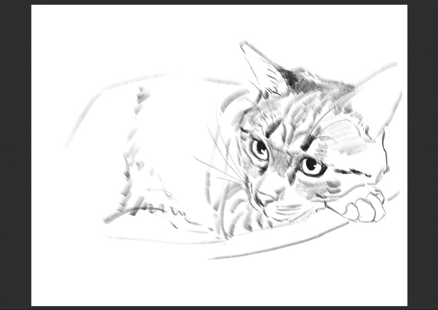 우리집 고양이 보고가셈_9.jpg