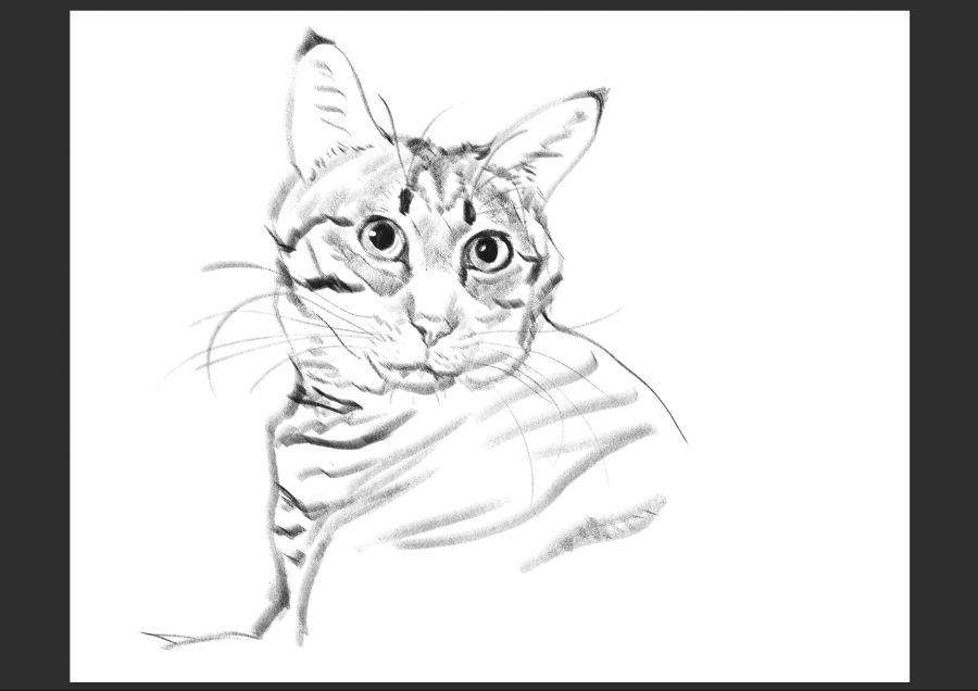 우리집 고양이 보고가셈_13.jpg