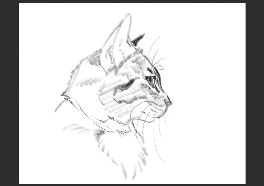 우리집 고양이 보고가셈_15.jpg