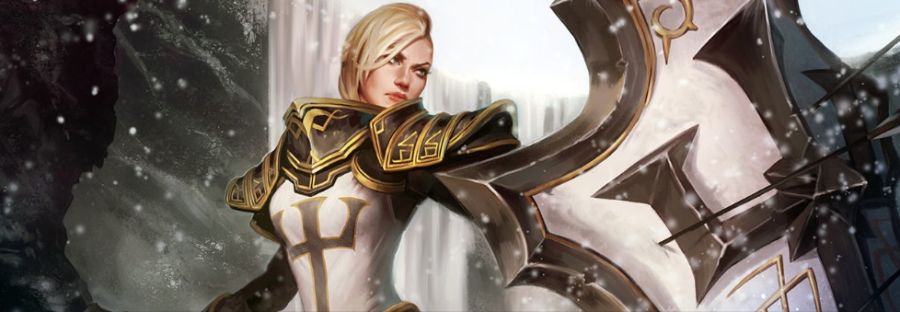 디아블로4 두 번째 확장팩 신규 직업 팔라딘?, 컨텐츠, 콜라보 2종_1.jpg