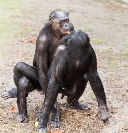 원숭이 아저씨의 대모험_119.png