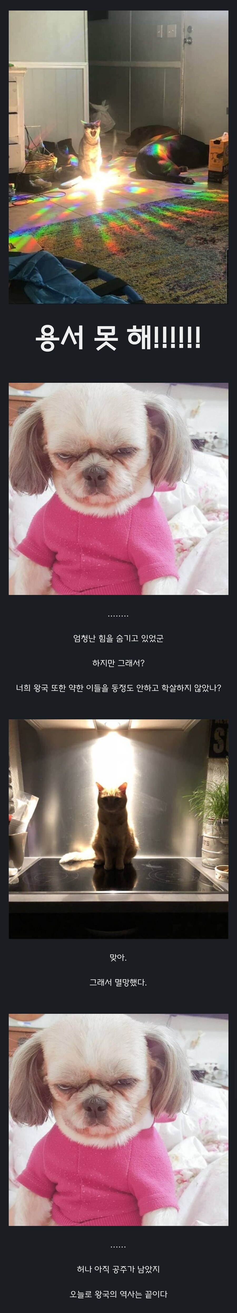 원숭이 아저씨의 대모험_33.jpg