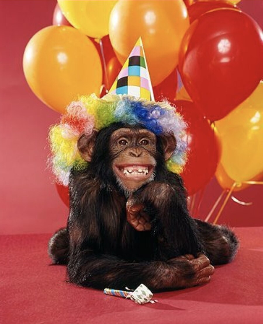 원숭이 아저씨의 대모험_39.jpg