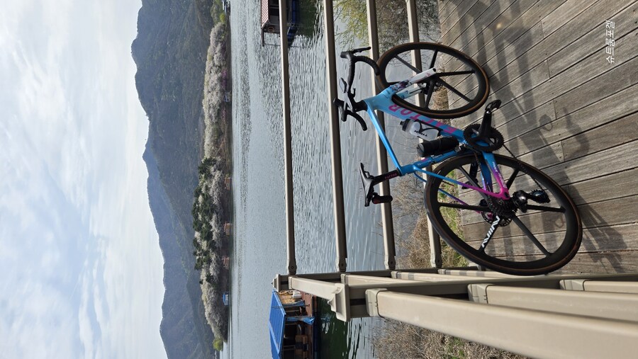 막바지 꽃구경_3.jpg