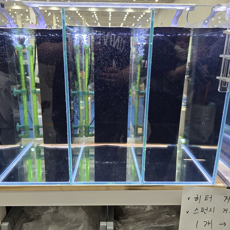 오늘 수원에서 하는 이색애완동물 박람회 다녀왔습니다._60.jpg